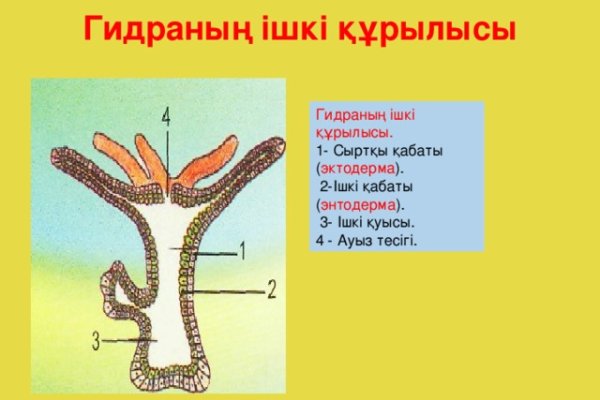 Кракен вместо гидры